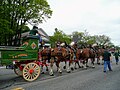 File:13th Annual Wellesley's Wonderful Weekend & 43rd Annual Wellesley Veterans' Parade Rockbottom Farm Wayland E H Perkins Construction Inc Six-Horse Hitch.jpg