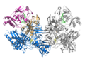 Mo-CODH（需氧微生物一氧化碳脱氢酶）的整体结构 The overall structure of Mo-CODH. CODH: Carbon monoxide dehydrogenase