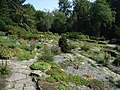 Alpinum im Botanischen Garten