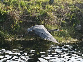 Everglades National Park, Florida