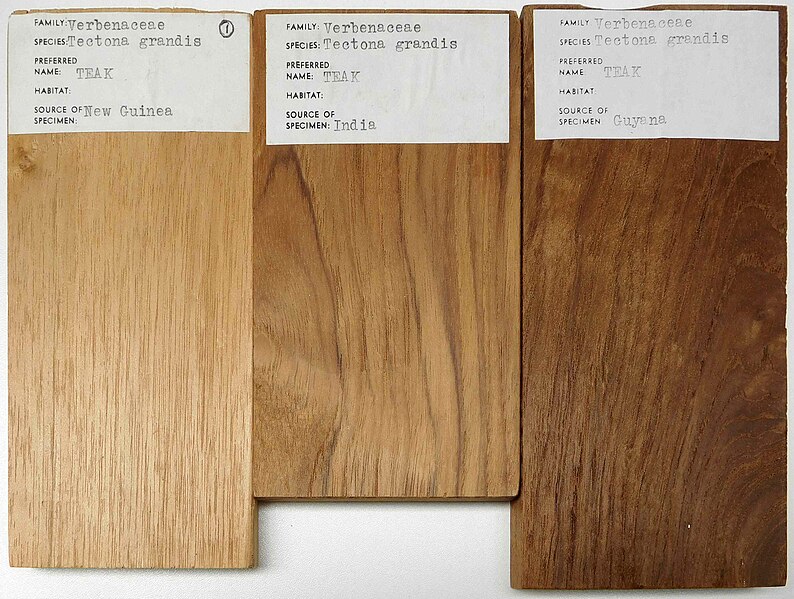 File:Three Teak samples looking very different.jpg