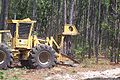 A military feller buncher