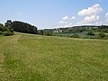 Naturschutzgebiet Haiterbacher Heckengäu