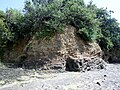 Falaise et grotte à l'est de Lanvoy le long de la rive nord de la ria de la Rivière du Faou.