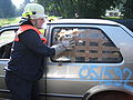 German fireman at work