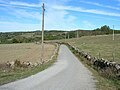 Camiño de Santiago