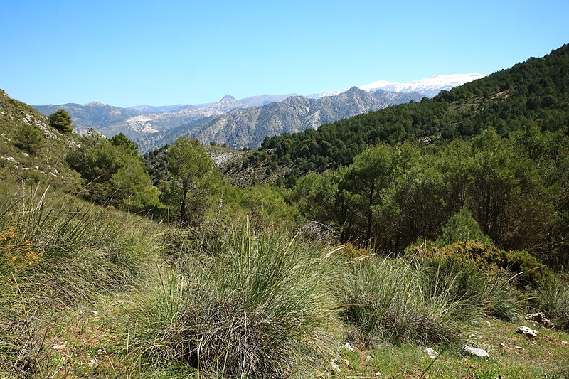 File:Dílar - Sierra Nevada - 01.jpg