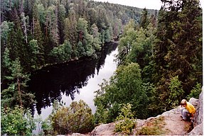 Finnish forest in Helvetinjarvi national park