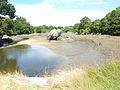 Rocher au milieu de la ria du Minaouët (photo prise de la digue du moulin à marée)