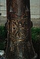 Coat of arms of Codlea on a fire hydrant