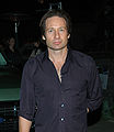 David Duchovny in 2007