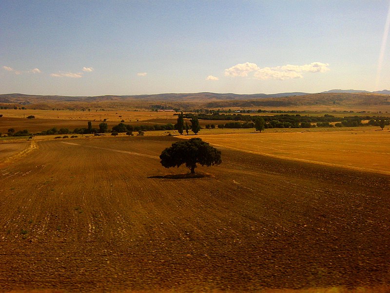 File:Meseta Central.jpg