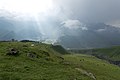 Terek River Valley