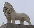 The lion at the NW corner of the County Hall