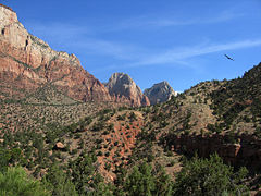 Zion National Park