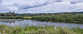 Floodplains of river Oder