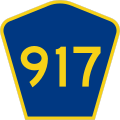 File:CR 917 jct.svg