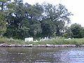 Cemetery in the village of Lafitte Le cimetière du village de Lafitte ,