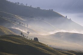 Savanna bromo