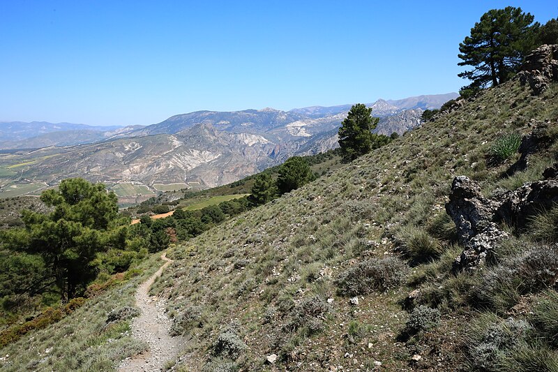 File:Dílar - Sierra Nevada - 04.jpg