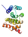 酵母eIF5的C端结构域的晶体结构 The crystal structure of yeast eIF5-CTD