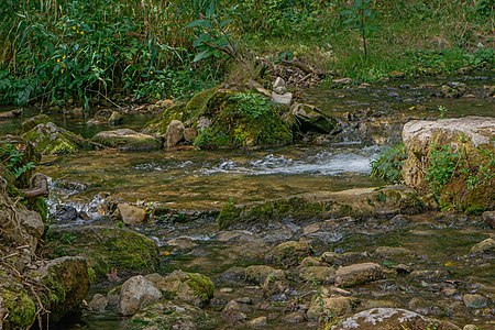 Gauchach Gemeinde Wutach