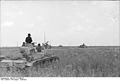 Deutsch: Pz III in einem Feld an der Ostfront 1942