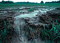 Runoff from a field in Iowa, USA (1999)