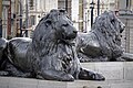 Lions in Nelson's Column at Trafalgar Square