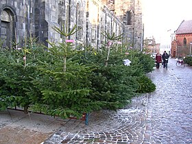 Sold outside Lunds domkyrka.