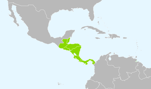 File:WGSRPD Central America.svg