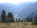 Deutsch: Blick nach Todtnau-Fahl