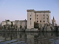 View from west with the Rhône River