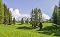 * Nomination Meadows with Swiss pine trees (pinus cembra) larch trees (larix decidua) with the Odles Group and the Stevia Mountain, Puez-Geisler Nature Park, Dolomites. A UNESCO World Heritage Site. --Moroder 17:49, 6 June 2018 (UTC) * Promotion Beautiful image, good quality (and too large for my monitor) -- Spurzem 18:43, 6 June 2018 (UTC)  Comment Fortunately WM gives different options to upload images according to viewer’s monitor sizes ;-) Thanks for your supporting review --Moroder 21:05, 6 June 2018 (UTC)