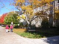 Autumn at Virginia Tech - when the leaves turn Hokie colors