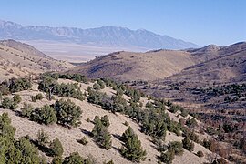 Cedar Mountain Wilderness