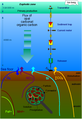 Nutrient flux