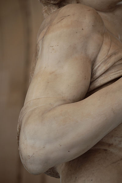 File:'Dying Slave' Michelangelo JBU034.jpg