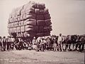 Wool wagon, Australia