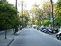 Il Viale delle Palme a Nervi