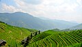 Longsheng rice terraces in Guilin, Guangxi Province