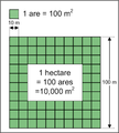 An illustration showing a hectare and an ares, both represented by squares with sides of 10 metres