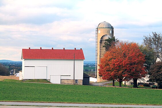 Autumn leaves in Lancaster County, PA