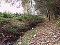 Deutsch: Bachlauf der Klinke in der Nähe von Klein Ottersleben bei Magdeburg