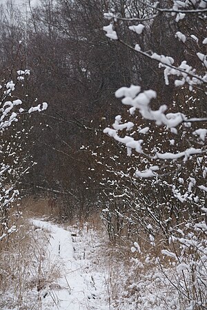 Snowfall in Enäjärvi.