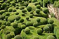 Jardins de Marqueyssac