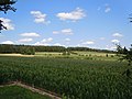 Naturschutzgebiet Oberer Gründel