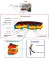 Thumbnail for version as of 04:24, 10 June 2023