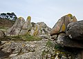 Rochers le long du littoral entre Rospico et Port-Manec'h 3.