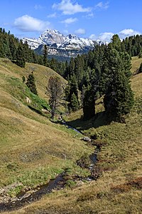 Rio del Piz Seiser Alm South Tyrol